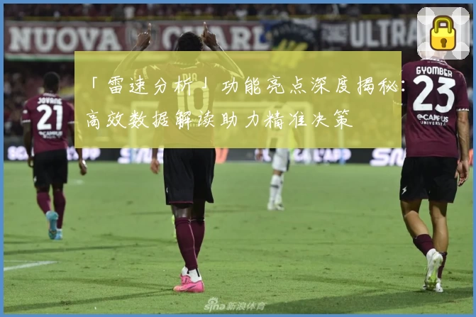 「雷速分析」功能亮点深度揭秘：高效数据解读助力精准决策