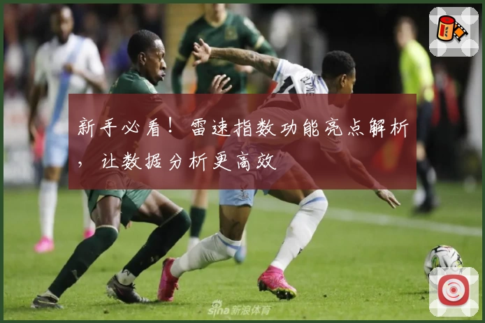 新手必看！雷速指数功能亮点解析，让数据分析更高效