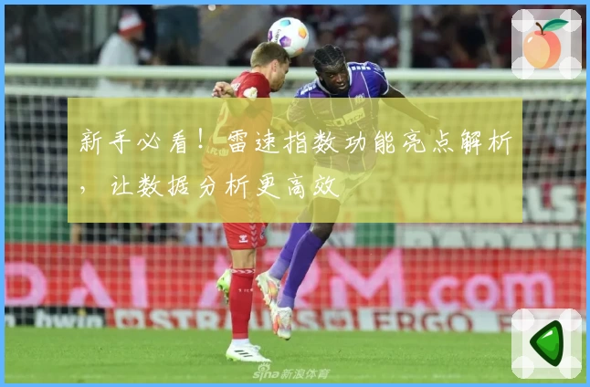 新手必看！雷速指数功能亮点解析，让数据分析更高效